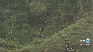 Resolution to remove Haiku Stairs moves through Honolulu City Council