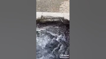 حالات واتس اب سورة الإخلاص