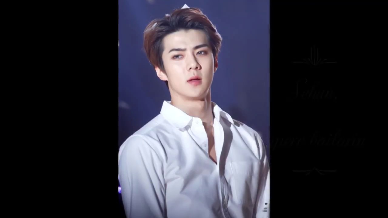 INTEGRANTES Y POSICIONES DE LOS INTEGRANTES DE EXO