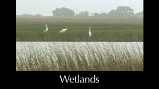 Wetlands Summary Overview - L10.0 Wetlands Introduction L10 1