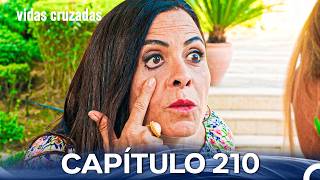 Vidas Cruzadas Capítulo 210 (Doblado En Español)