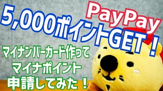 PayPay 5,000ポイントゲット！ マイナンバーカード作ってマイナポイント申請してみた！