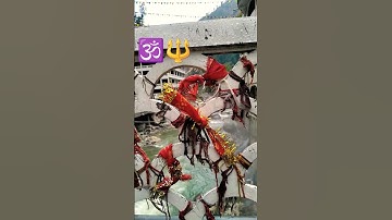 devo ke dev mahadev 🙏🙏🥀🥀📿🕉️🔱🔱🌿🌿#shorts #trending #mhadevstatus #mhadevbhakt