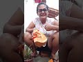 você conhece essa semente?