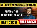 Anatomy of Flowering Plants in ONE SHOT | Concepts &amp; PYQ | NEET 2026 #neet2026