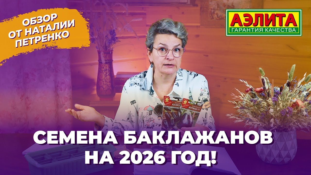 БАКЛАЖАНЫ НА 2026 ГОД! Обзор сортов от Наталии Петренко