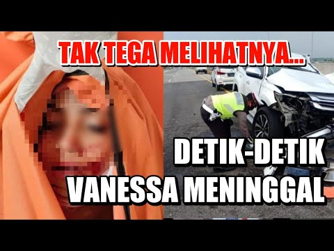 Video: Mengapa anjing saya yang baru-baru ini mengalami kecelakaan di sekitar rumah?