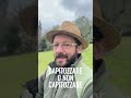 CAPITOZZARE L'OLIVO: un vero DISASTRO! #shorts