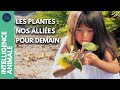 Pourquoi les plantes nous sont-elles supérieures ? I IA