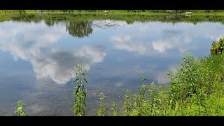 Gobblers Knob - Dragonfly Wars Aug 2022