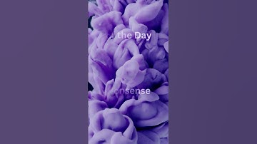 Fun Fact: Pixar Saved Etch-A-Sketch?