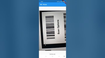 Barcode ML Kit Flutter #41