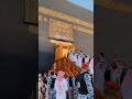 Bua rha nazar mn madina#trending#love#