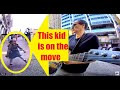 Cutest little girl goes crazy dancing to ZZ Top (busking still banned! Please support!)