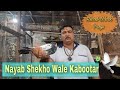 Sheikho Wale Kabootar With A Big Message From Ashish Gupta (Dr.J&K) Jammu (No. 31)