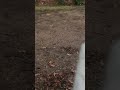 Outdoor sounds