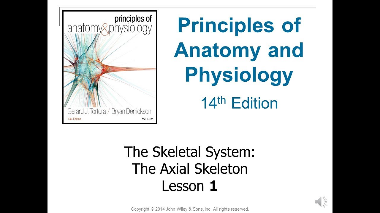 HAP101 F2020 7_1 Axial Skeleton NARRATED