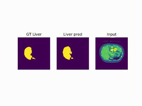 Binary Segmentation of