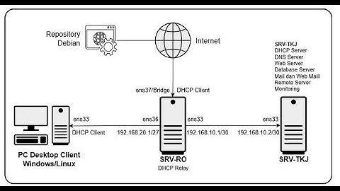 DNS-Server (srv-tkj)