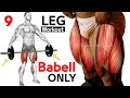 BARBELL ONLY LEG WORKOUT TO BUILD BIG LEGS 🔥