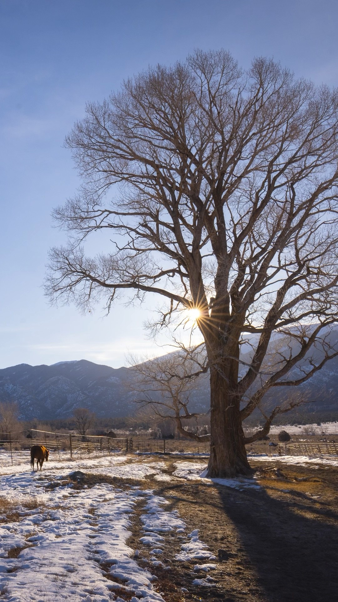 Paid Content for @toyotausa. The San Luis Valley is perfect for capturing pristine wilderness.