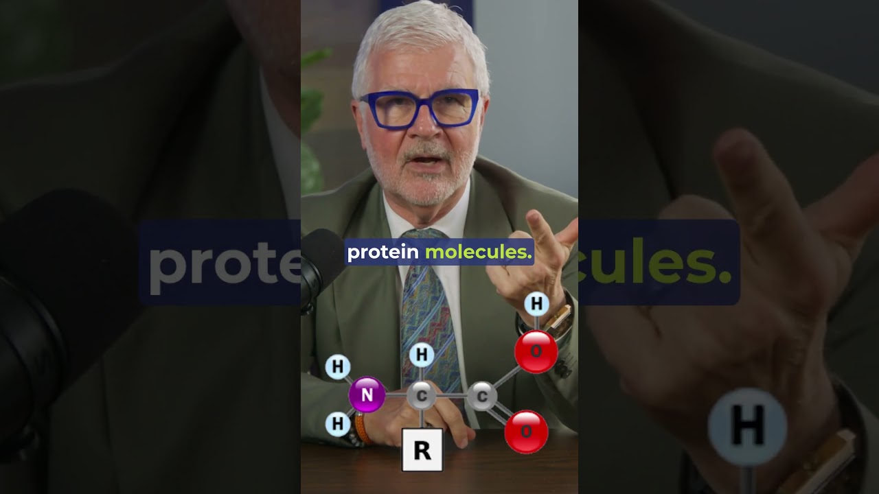 "You Should NEVER Fry Anything" ❌