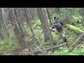 На промысле кедрового ореха. Кедровая лихорадка.