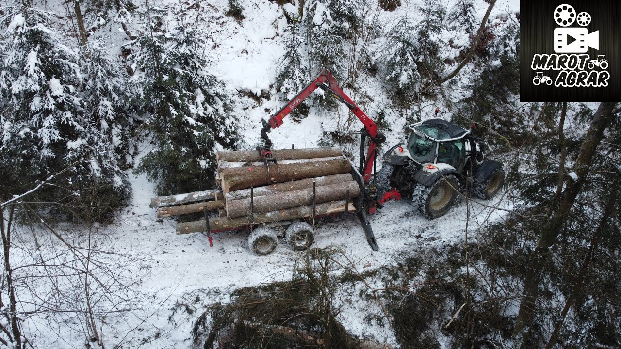 Spravilo lesa | Forestry | 2021 | Marot