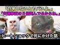 ヒートショックで死にかけた話 #猫ミーム