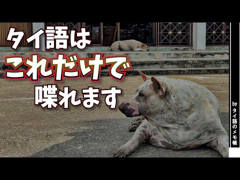 私のタイ語学習法～初タイ旅行からタイ語検定3級取得まで