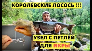 СЮРПРИЗ  ОТ КОРОЛЕВСКОГО ЛОСОСЯ И УЗЕЛ С ПЕТЛЕЙ ДЛЯ ИКРЫ.