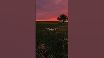 أَيْنَمَا تَكُونُوا يُدْرِككُّمُ الْمَوْتُ وَلَوْ كُنتُمْ فِي بُرُوجٍ مُّشَيَّدَةٍ ۗ | سورة النساء