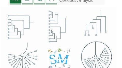 Lecture 23 | MEGA12 | Evolutionary analysis | Tree | Molecular biology @SciChatMindset