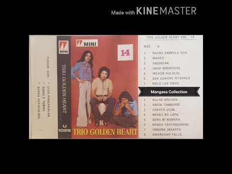 TRIO GOLDEN HEART VOL.14 : Ndada Tartangishon