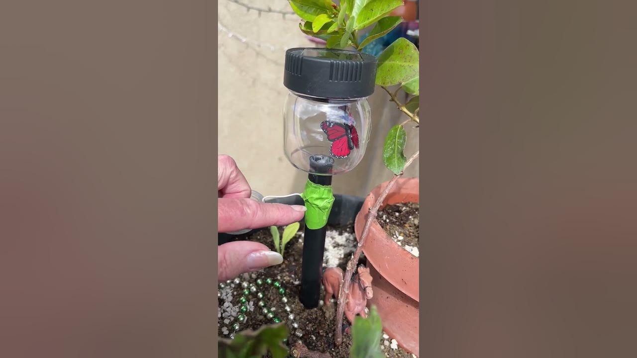 Cute DIY Hummingbird Feeder & Nectar Recipe for Hummingbirds Easy to Make for Garden Birds Love