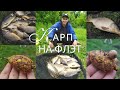 Ловля карпа на флэт фидер. Поставили карпа на точку и понеслось.
