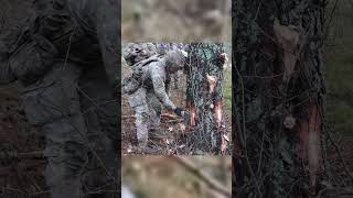 Controlled Demolition Training on Trees #shorts #military