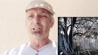 Dinge wat ek nie van skape geweet het nie - 19