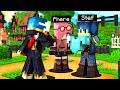 STEF E PHERE MI VENDONO LA NUOVA ARMATURA - VITA IN CITTÃ€ 2 - MINECRAFT EP 11