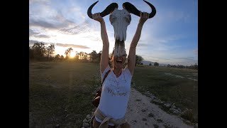 TANZANIA SAFARI TRIP ! Amazing travel HD