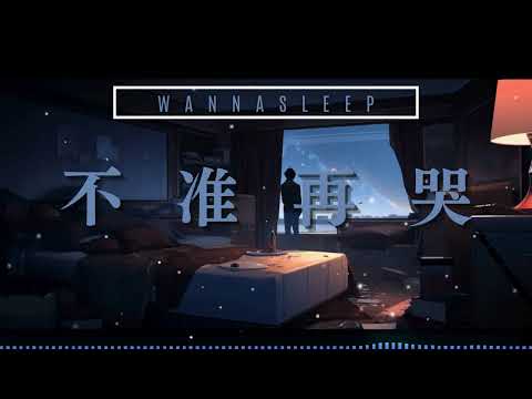 Wannasleep - 不准再哭 |【Lyrics Video】「讓我捕捉那些過眼雲煙 一絲一縷便能夠過著明天」