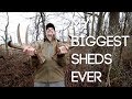 FINDING MY BIGGEST SHED ANTLERS EVER - 2018 Ohio Shed Hunting - #WiredToHuntWeekly 36 FINDING MY BIGGEST SHED ANTLERS EVER - 2018 Ohio Shed Hunting - #WiredToHuntWeekly 36
