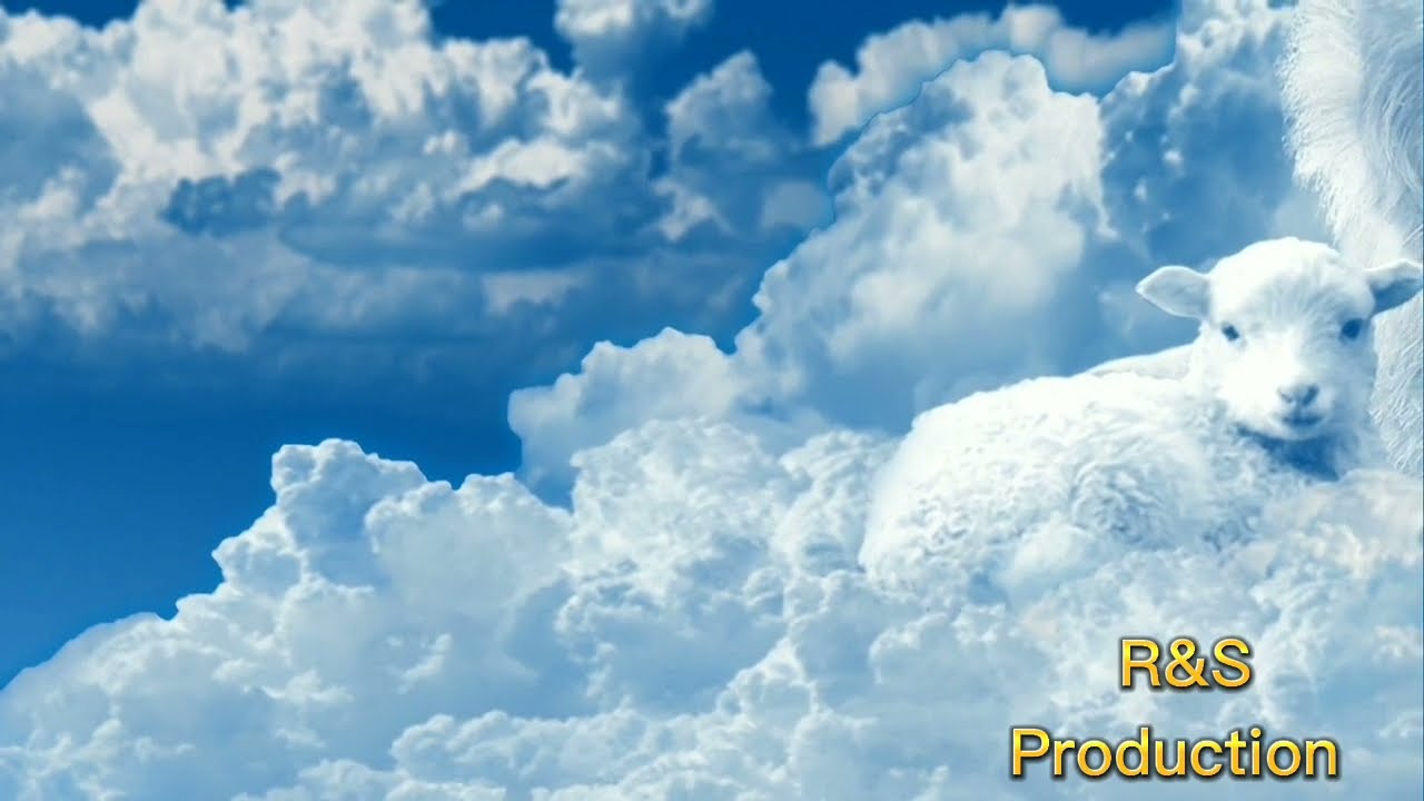 Animals background music no copyright!ANIMALS MUSIC#nocopyrightmusic #nocopyrightsounds #background