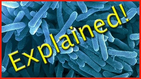 Microbial Fuel Cell Explained