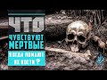 Что чувствуют мертвые? | Вероубеждение аш-Шафии [9 часть] | 'Умар ибн Сауд ибн Фахд аль-'Ид