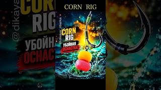 CORN RIG — Убойная оснастка на карпа! #fishing #carpfishing #спінінг #рыбалка #балык #fishingknot