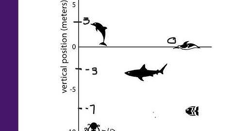 5.1 Interpreting Negative Numbers