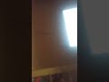 Up beat Arabic songs