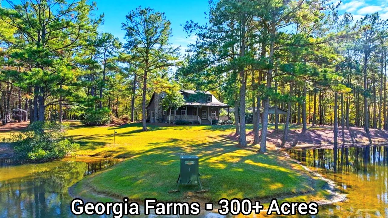 Фермы в Джорджии на продажу | Более 301 акра | Земля в Джорджии на продажу | Домики в Джорджии | ...