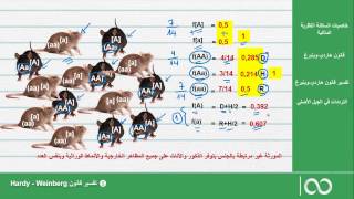 ثانية بكالوريا علوم الحياة والأرض  | 5- تفسير قانون هاردي وينبرغ